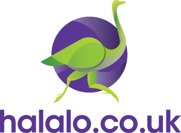 Sara International Ltd