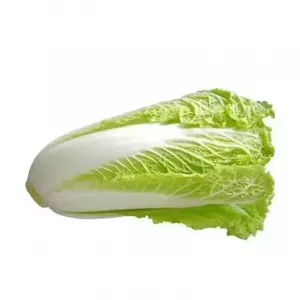 Fresh Chinese Cabbage, also known as Bok Choy, is a versatile leafy green with a mild, slightly sweet flavour. Perfect for stir-fries, salads, and more. Available at halalo.co.uk and Halalo.