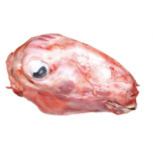 Fresh Halal Lamb Head from Halalo butcher UK delivery