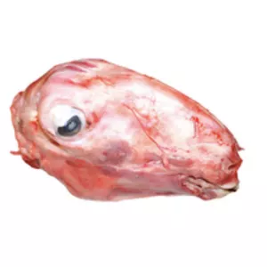 Fresh Halal Lamb Head from Halalo butcher UK delivery