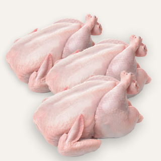 Fresh Halal 3x Baby Chickens – tender whole chickens, perfect for roasting. Great value special offer available now at halalo.co.uk.