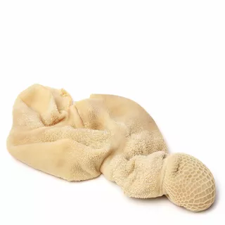 Fresh halal lamb stomach – premium quality offal for traditional Middle Eastern and African dishes