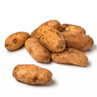 Fresh Cyprus Potatoes 500g are a versatile and delicious vegetable perfect for roasting , Available at halalo.co.uk