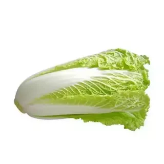 Fresh Chinese Cabbage, also known as Bok Choy, is a versatile leafy green with a mild, slightly sweet flavour. Perfect for stir-fries, salads, and more. Available at halalo.co.uk and Halalo.