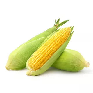 Fresh Corn is a delicious and versatile vegetable perfect for grilling, roasting, or enjoying raw. Add it to salads, soups, or use it in your favourite recipes. Available at halalo.co.uk