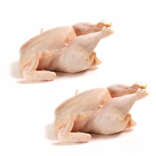 Fresh Halal Broiler Chicken x2 – value twin pack, perfect for roasting or family meals. Special offer available now at halalo.co.uk.