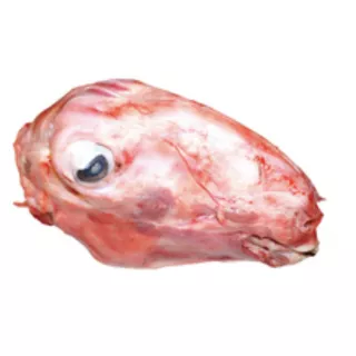 Fresh Halal Lamb Head from Halalo butcher UK delivery