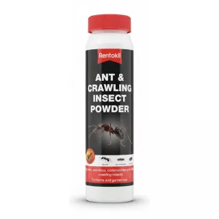 Rentokil ant and crawling insect powder bottle front