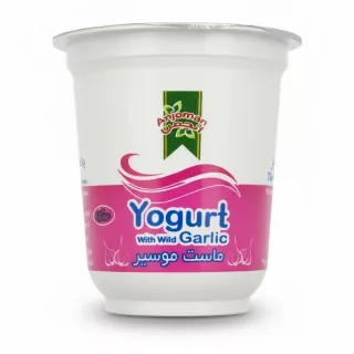 Anjoman Yogurt cup with wild garlic flavour front view