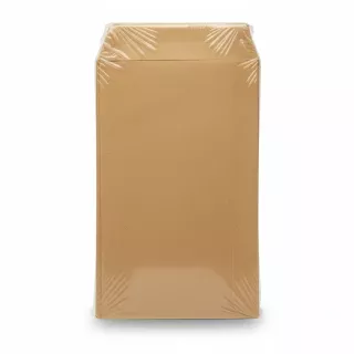 pack of 70 brown kraft paper dinner money envelopes