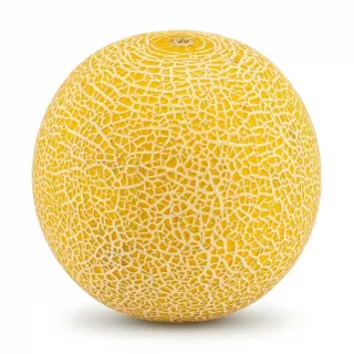 Enhanced A hand holding a whole fresh cantaloupe melon with netted yellow skin and a price label showing £2.99