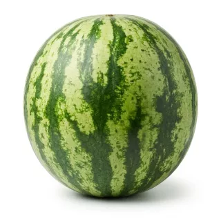 Enhanced Hand holding a large whole watermelon with green striped rind outside a fruit and vegetable shop