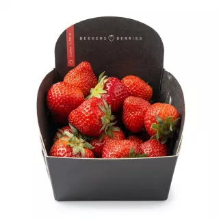 A hand holding a carton of fresh Beekers Berries strawberries.