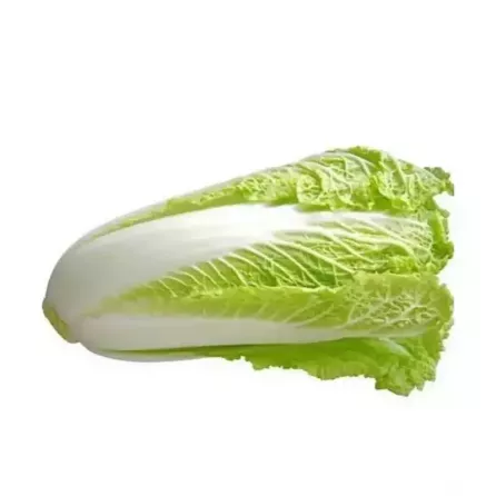 Fresh Chinese Cabbage, also known as Bok Choy, is a versatile leafy green with a mild, slightly sweet flavour. Perfect for stir-fries, salads, and more. Available at halalo.co.uk and Halalo.