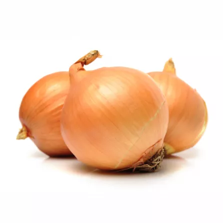 Fresh Golden Onions 500g add a mild, sweet flavour and a beautiful golden hue to your dishes Available at halalo.co.uk