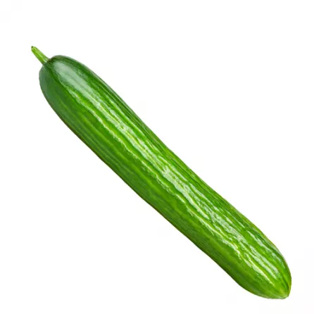 Enjoy the crisp and refreshing taste of fresh cucumbers. Perfect for adding a cool and crunchy texture to salads or enjoying as a healthy snack. Available at halalo.co.uk
