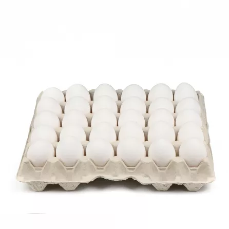 Get your 30-pack of Wilkins White Eggs for delicious and nutritious breakfasts, baking, and cooking. Available at halalo.co.uk and Halalo.