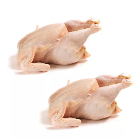 Fresh Halal Broiler Chicken x2 – value twin pack, perfect for roasting or family meals. Special offer available now at halalo.co.uk.