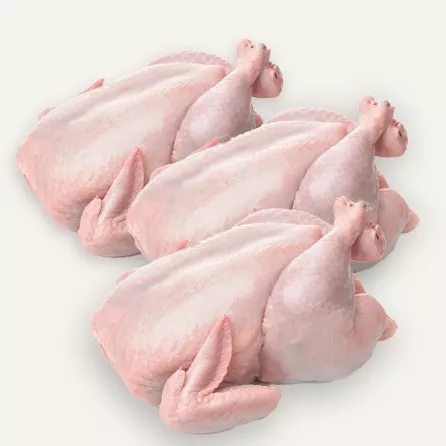 Fresh Halal 3x Baby Chickens – tender whole chickens, perfect for roasting. Great value special offer available now at halalo.co.uk.