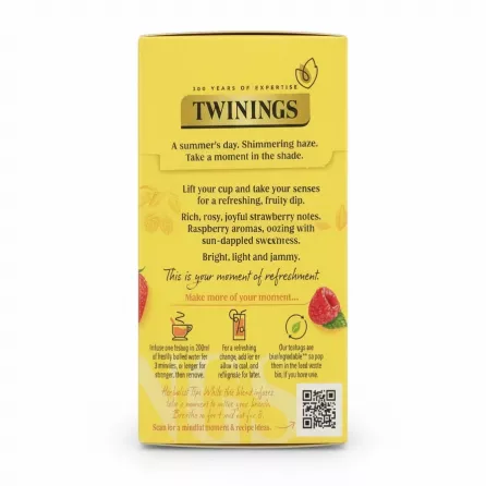 Twinings Strawberry & Raspberry Tea box back view with product description