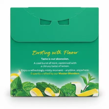 Lipton Smooth Mint tea bags box back with flavour description and mint/lemon design