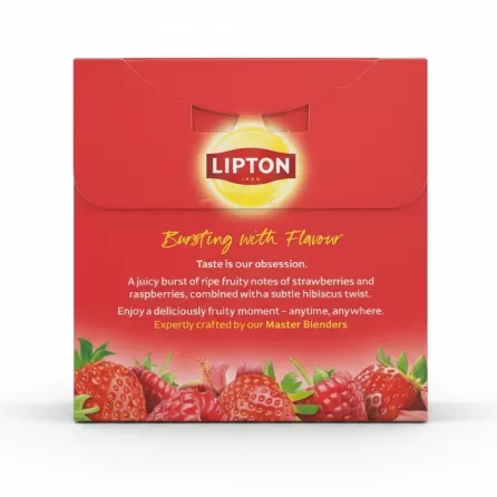 Lipton Berry Bliss Herbal Tea box back with product description