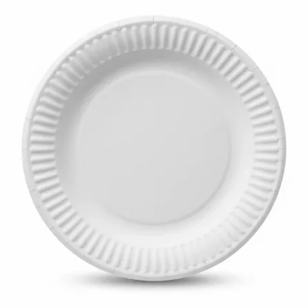 Close-up of white biodegradable paper plate showing smooth surface