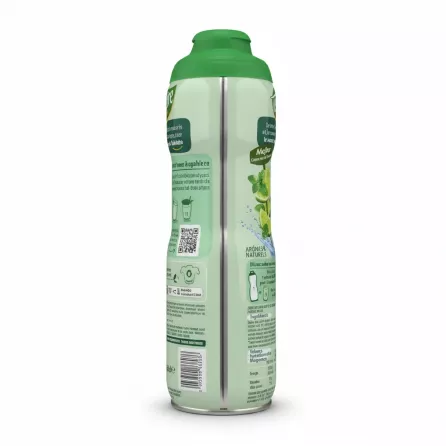 Teisseire Mojito Lime and Mint Syrup bottle back with ingredients and dilution instructions