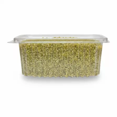 Side view of clear plastic container showing fresh cracked wheat