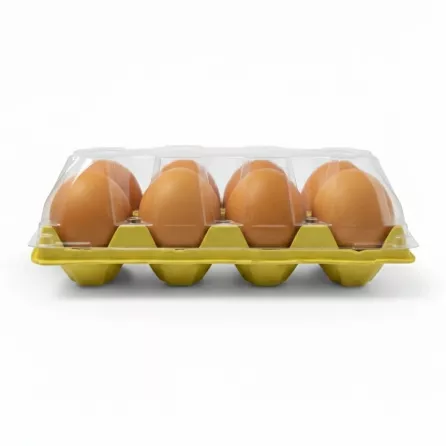 Hand holding a pack of 6 large fresh brown eggs in plastic tray without hand