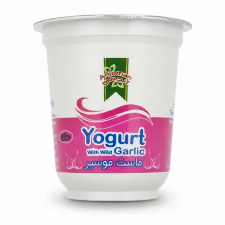 Anjoman Yogurt cup with wild garlic flavour front view