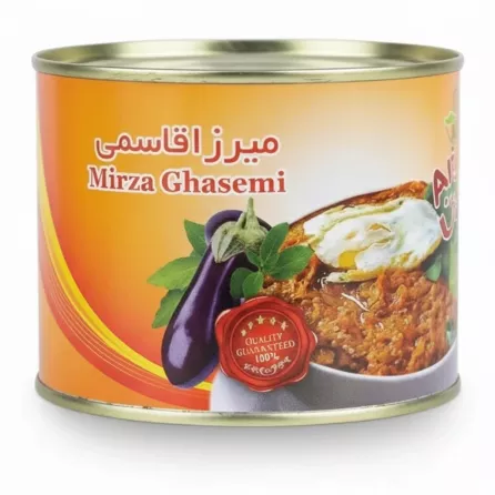 Anjoman Mirza Ghasemi tin