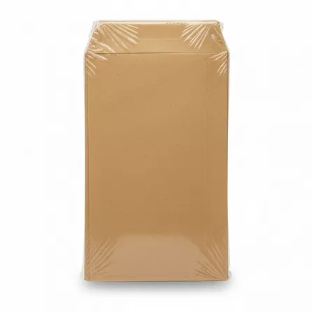 pack of 70 brown kraft paper dinner money envelopes