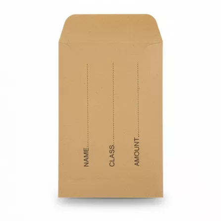 single brown paper envelope with printed sections for name, class, and amount