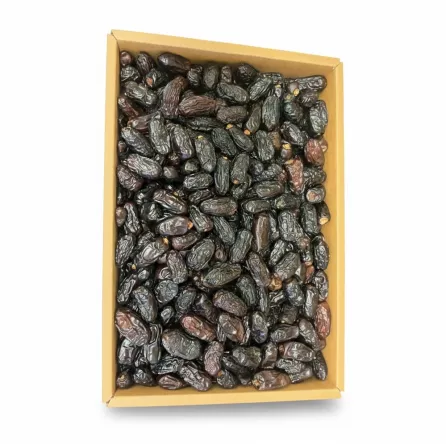 Close-up of dark, wrinkled Ajwa dates packed in a box