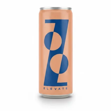 Can of ZOOZ Elevate sparkling adaptogen tonic with orange and blue design