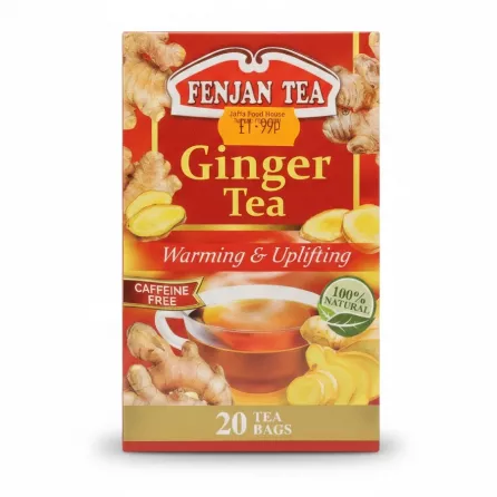 Front view of Fenjan Pure Ginger Tea box showing price label