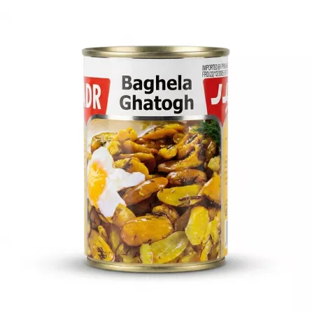 Enhanced Side view of Badr Baghela Ghatogh can showing product imagery of seasoned beans