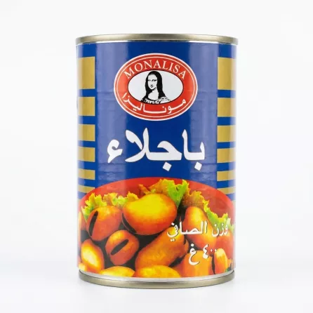 Enhanced Monalisa Foul Medammas Large Beans 400g Arabic label on can in hand