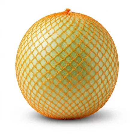 Enhanced Enhanced Hand holding a whole honeydew melon in orange mesh netting