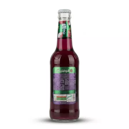 A clear glass bottle of Hoffenberg Dragon Fruit Soft Drink, featuring its detailed back label with ingredients and nutritional information in both Persian and English text. The label details are sharp and legible, showcasing the dark reddish-purple liquid through the bottle.