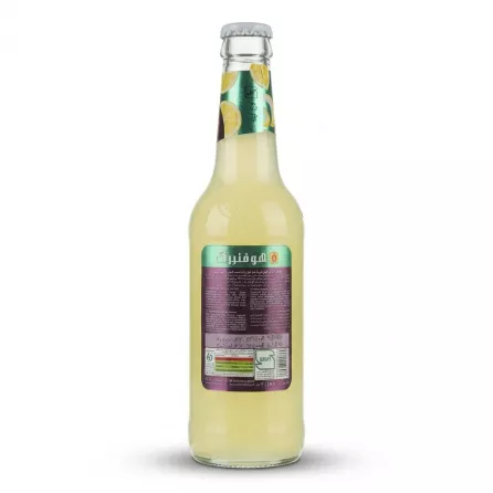 Enhanced Back view of Hoffenberg Lemonade bottle showing ingredients and nutritional information