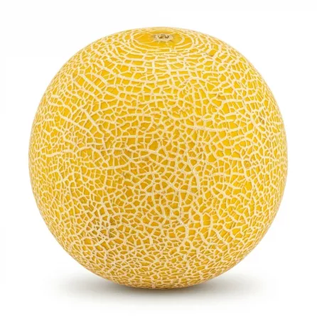 Enhanced A hand holding a whole fresh cantaloupe melon with netted yellow skin and a price label showing £2.99