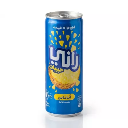 A clean, professional studio photograph of a 240ml Rani Float Pineapple drink can. The can is centered and features clear Arabic and English branding and fruit graphics against a pure white background.