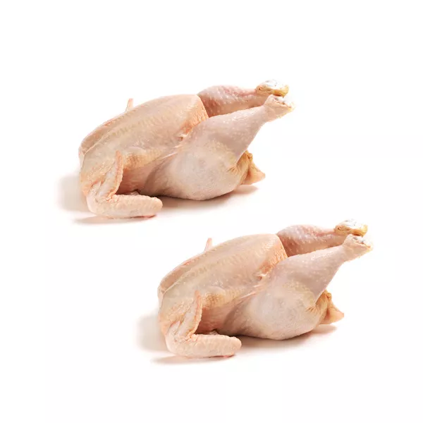 Fresh Halal Broiler Chicken x2 – value twin pack, perfect for roasting or family meals. Special offer available now at halalo.co.uk.