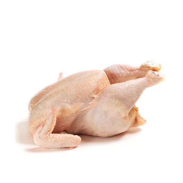 Fresh Halal Organic Broiler Chicken – naturally raised and full of flavour, perfect for healthy family meals. Available online at halalo.co.uk.