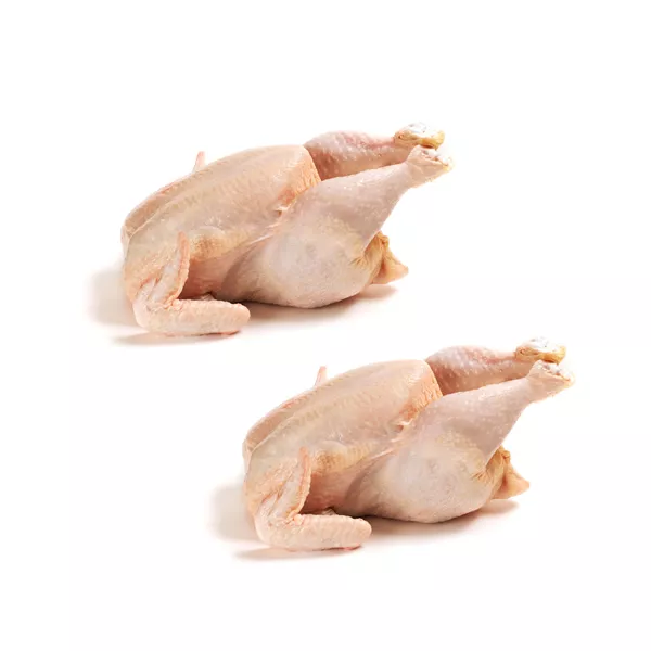 Fresh Halal Broiler Chicken x2 – value twin pack, perfect for roasting or family meals. Special offer available now at halalo.co.uk.