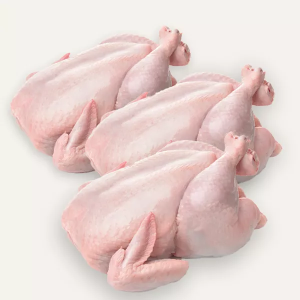 Fresh Halal 3x Baby Chickens – tender whole chickens, perfect for roasting. Great value special offer available now at halalo.co.uk.