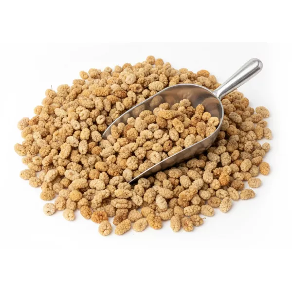dried mulberries with price label and metal scoop