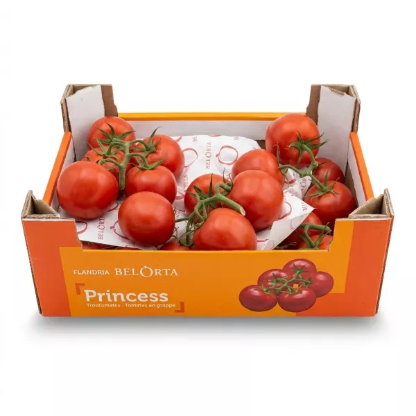 Enhanced Box of BelOrta Princess vine tomatoes on artificial grass in a market display